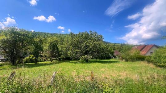 Annonce Vente Terrain Ornans 25