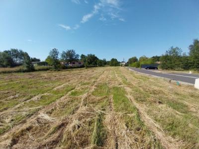 For sale Negrepelisse 434 m2 Tarn et garonne (82800) photo 0