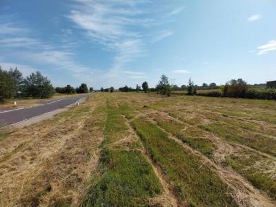 Annonce Vente Terrain Negrepelisse 82