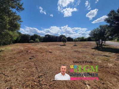 Annonce Vente Terrain Canet 34