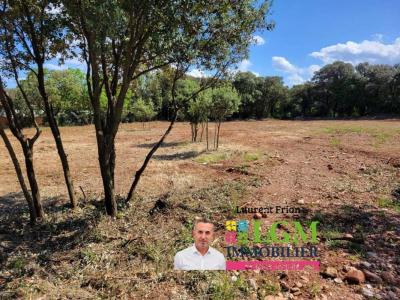 Acheter Terrain Canet Herault