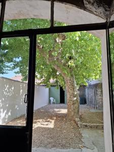 For rent CENTRE DU VILLAGE 2 rooms 50 m2 Gard (30540) photo 1