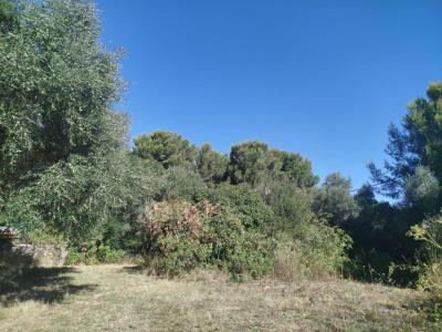 Acheter Maison Ollioules Var