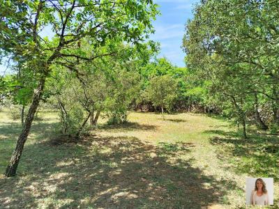 For sale Regusse 5 rooms 110 m2 Var (83630) photo 1