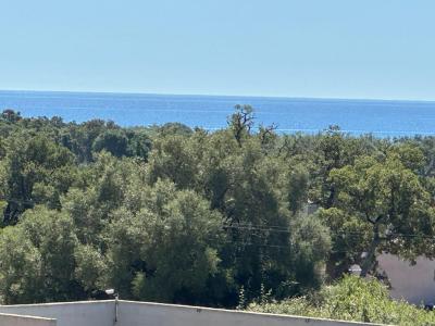 For sale Sainte-lucie-de-porto-vecchio 5 rooms 136 m2 Corse (20144) photo 1