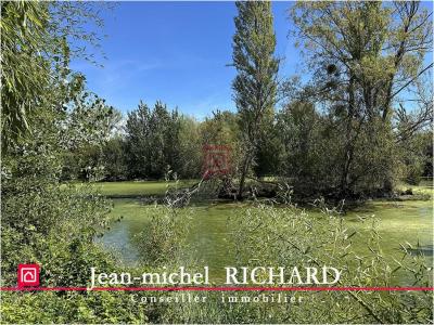 For sale Cande-sur-beuvron LE-CONTROIS-EN-SOLOGNE 5624 m2 Loir et cher (41120) photo 1
