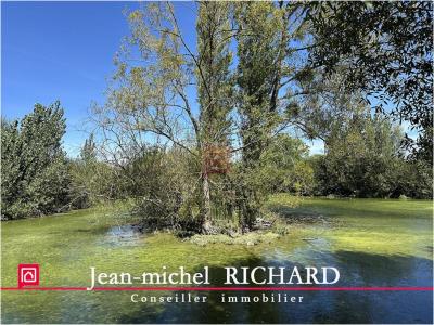 For sale Cande-sur-beuvron LE-CONTROIS-EN-SOLOGNE 5624 m2 Loir et cher (41120) photo 2