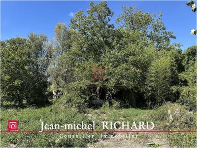 For sale Cande-sur-beuvron LE-CONTROIS-EN-SOLOGNE 5624 m2 Loir et cher (41120) photo 3