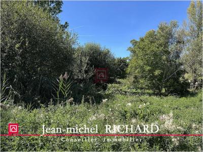 For sale Cande-sur-beuvron LE-CONTROIS-EN-SOLOGNE 5624 m2 Loir et cher (41120) photo 4