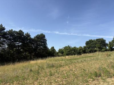 Annonce Vente Terrain Charly 69