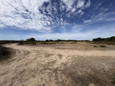 Annonce Vente Terrain Niherne 36