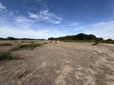 Acheter Terrain Niherne Indre