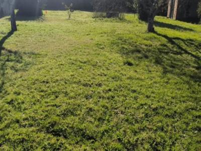 Acheter Terrain Bordeaux Gironde