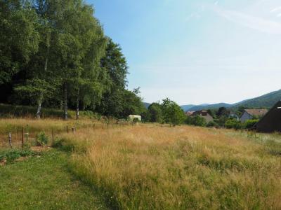 Annonce Vente Domaine forestier Giromagny 90