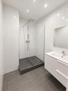 Acheter Appartement Villeurbanne 249000 euros
