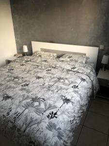 Louer Appartement 58 m2 Pollestres