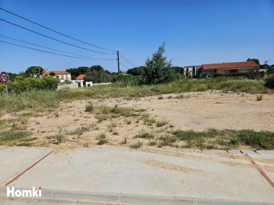 Acheter Terrain Laroque-des-alberes Pyrenees orientales