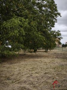 Annonce Vente 3 pi�ces Maison Ainvelle 88