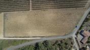 For sale Land Pauligne  10175 m2
