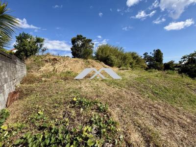 Annonce Vente Terrain Saint-pierre 974
