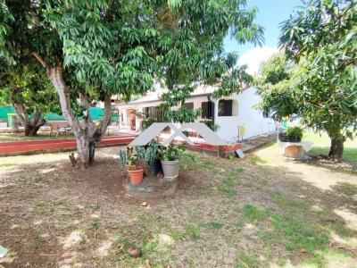 For sale Saint-louis 5 rooms 113 m2 Reunion (97450) photo 1