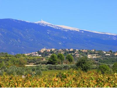 Annonce Vente Maison Orange 84