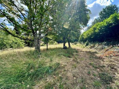 Acheter Terrain 1614 m2 Vigoulet-auzil