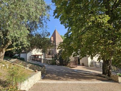 Annonce Vente Prestige Laroque-timbaut 47
