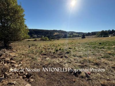 Acheter Terrain 1806 m2 Saint-just-malmont