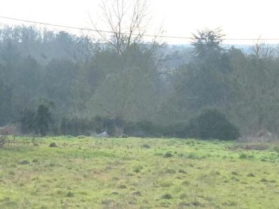 Acheter Terrain Migne-auxances Vienne