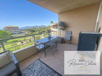 Annonce Vente 3 pi�ces Appartement Pietrosella 20