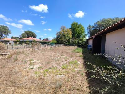 Acheter Maison Azur Landes