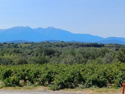 Acheter Terrain Tresserre Pyrenees orientales