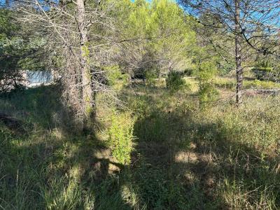 Annonce Vente Terrain Tourves 83