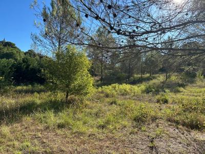 Annonce Vente Terrain Tourves 83