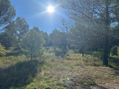 Acheter Terrain Tourves Var
