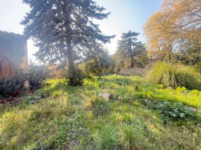 Acheter Maison 250 m2 Pezenas