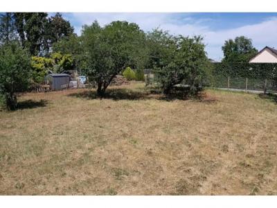 Acheter Terrain 767 m2 Allonnes