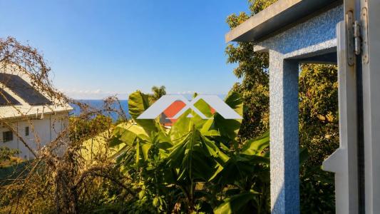 Annonce Vente 2 pi�ces Maison Saint-leu 974