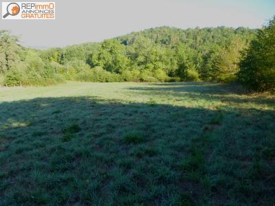 For sale Courpiere Puy de dome (63120) photo 4
