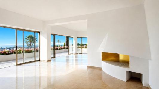 Acheter Appartement Cannes Alpes Maritimes