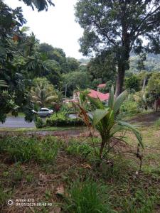 For sale Saint-esprit 939 m2 Martinique (97270) photo 1