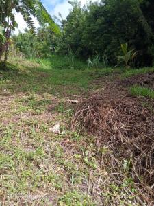 For sale Saint-esprit 939 m2 Martinique (97270) photo 3