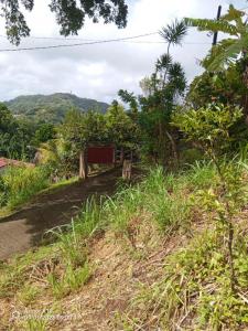 For sale Saint-esprit 939 m2 Martinique (97270) photo 4