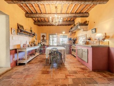 Acheter Maison 275 m2 Uzes