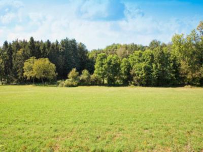 For sale Morbecque 420 m2 Nord (59190) photo 0