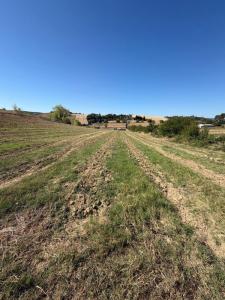 Acheter Terrain 4000 m2 Limoux