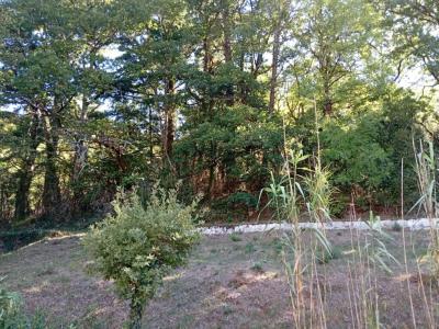 Annonce Vente 5 pi�ces Maison Boisset 34
