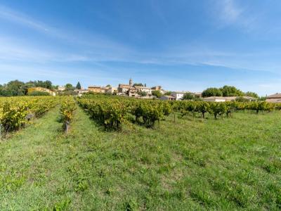 Annonce Vente Terrain Gaujac 30