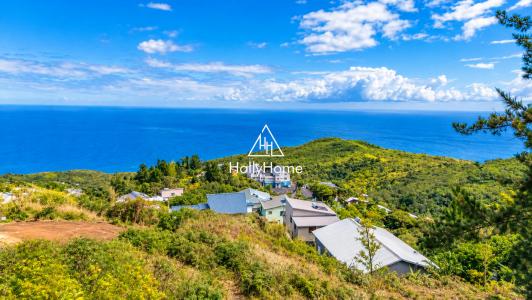 For sale Possession 485 m2 Reunion (97419) photo 0